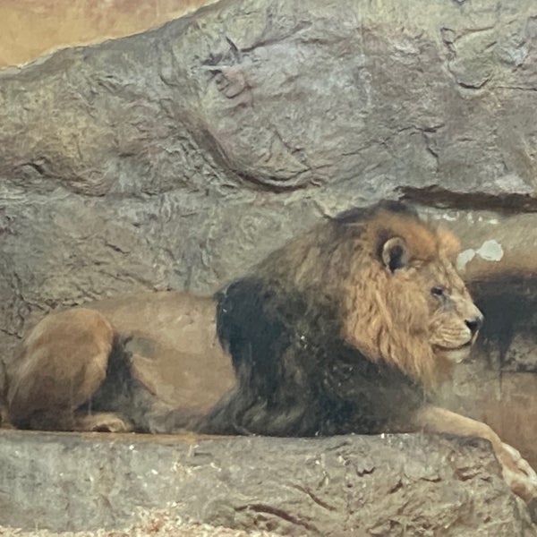Photo taken at Sofia Zoo by Boryana B. on 4/11/2022