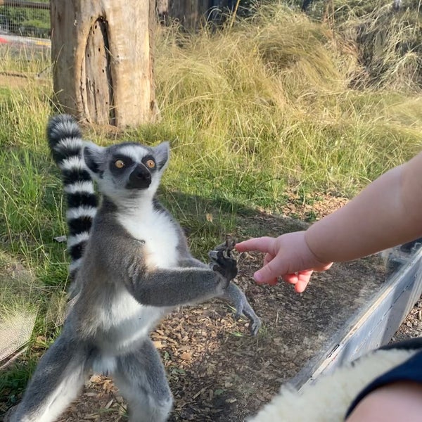 Photo taken at Sofia Zoo by Boryana B. on 7/26/2021