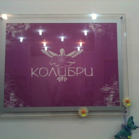 Колибри на веточке. Колибри аргентина. Птичка колибри. Колибри-сапфо. Колибри лого.