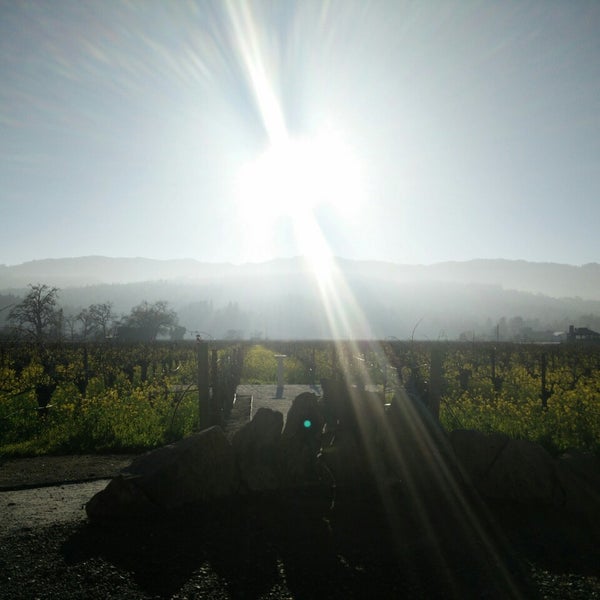 Photo taken at Corison Winery by Jerry W. on 1/26/2015
