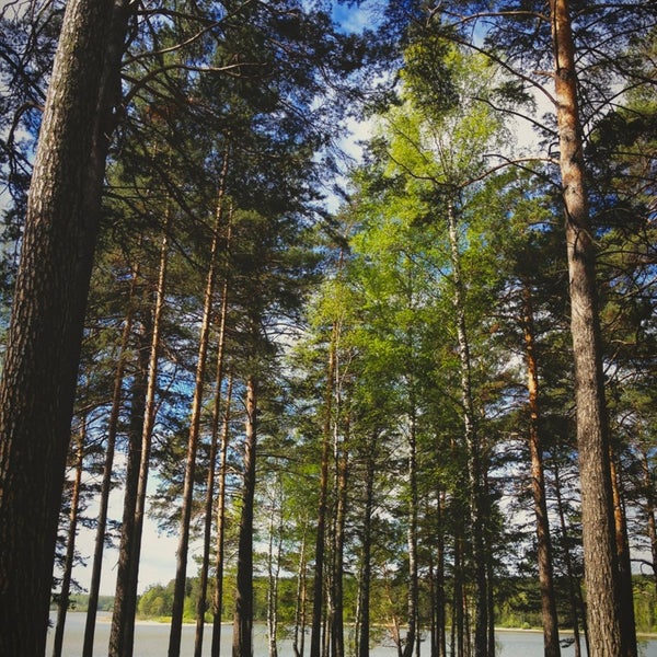 Морозово ивановская область тейковский район. Деревня сметьево сергиево-посадский район. Село морозово новосибирская область. Морозово индекс. Морозово индекс.