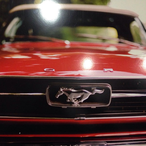 Тренера кск южный. Мустанг озерск. Областной турнир по выездке тверь. Конно спортивный клуб спутник. Областной турнир по выездке тверь.