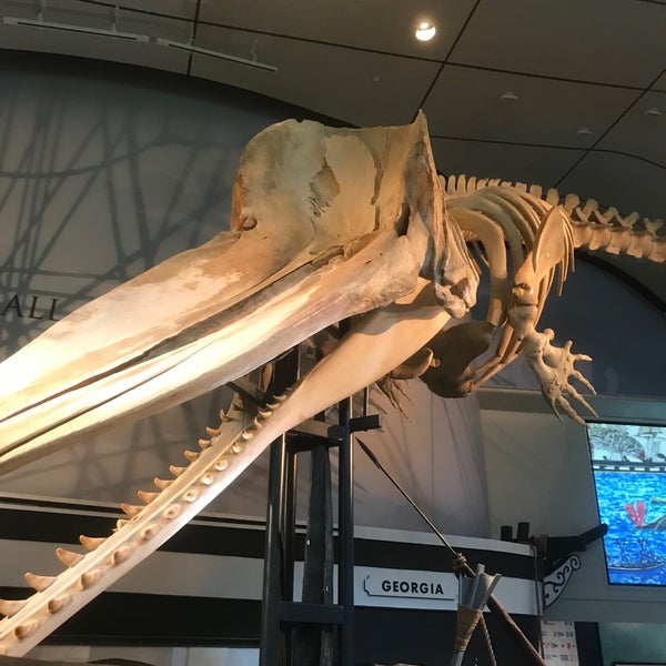 Foto scattata a The Whaling Museum da Matt il 7/31/2020
