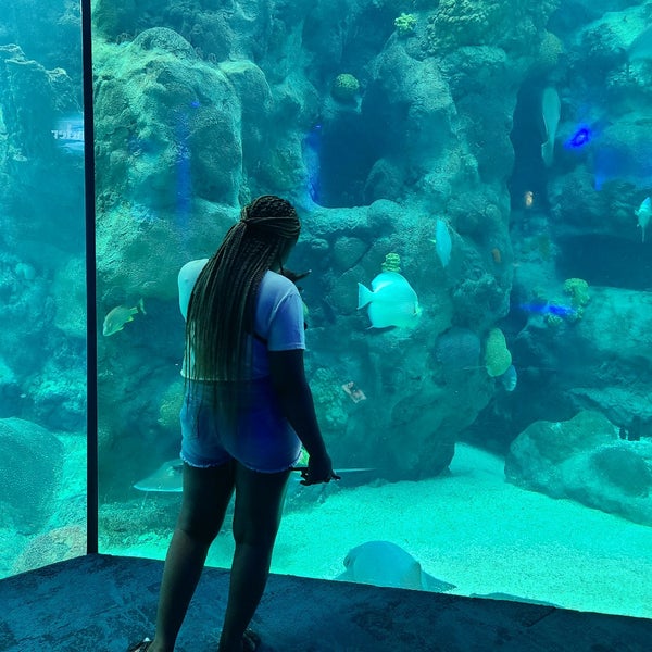 Photo taken at The Florida Aquarium by Kimberly B. on 6/24/2021