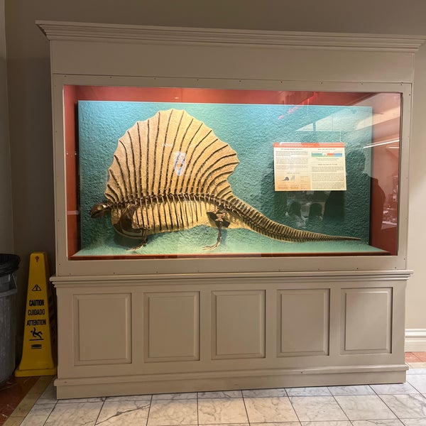 Foto scattata a Carnegie Museum of Natural History da Anilia S. il 11/6/2021