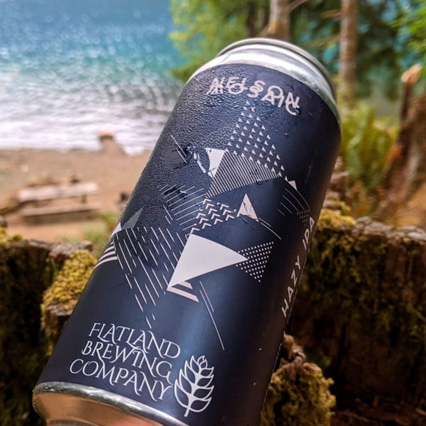 Olympic National Forest Forest in Humptulips