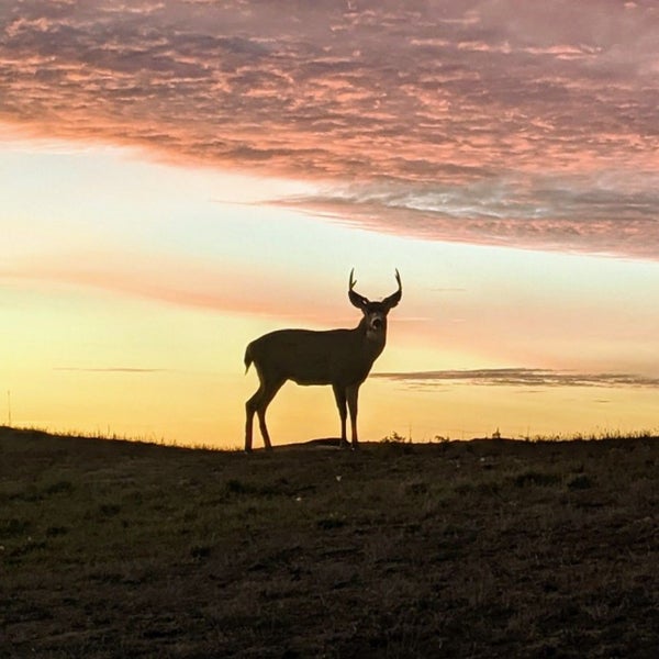 Punch Bowl at Bandon Dunes 1 tip from 61 visitors