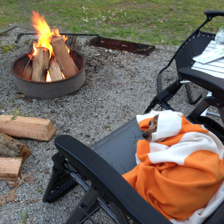Levi Jackson State Park Campground : Levi Jackson State Park The Dyrt - The park has a total of 146 campsites.