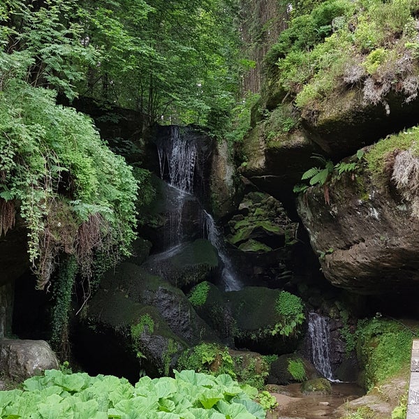 6/5/2017 tarihinde Alexander H.ziyaretçi tarafından Lichtenhainer Wasserfall'de çekilen fotoğraf