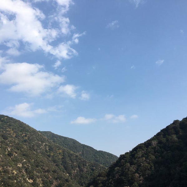 My Image 16