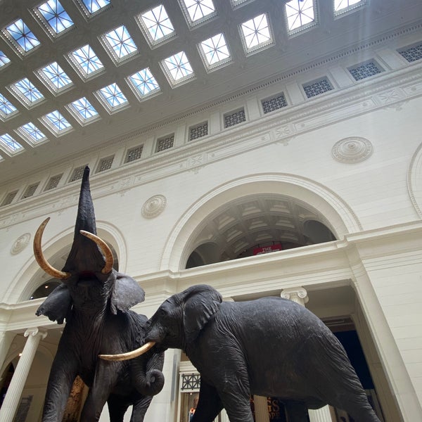 Photo taken at The Field Museum by Marcela U. on 7/29/2023