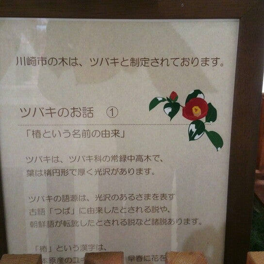 Photos At アトレ川崎 ツバキひろば Event Space In 川崎区