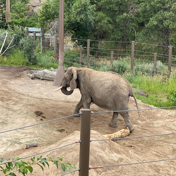 Снимок сделан в Cheyenne Mountain Zoo пользователем Mark C. 8/2/2021