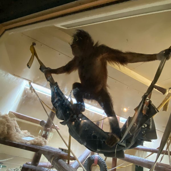 8/2/2021にMark C.がCheyenne Mountain Zooで撮った写真