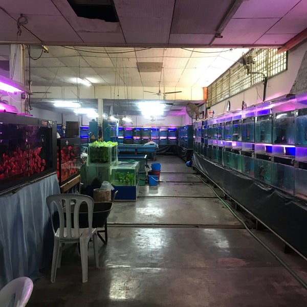 南洋鱼场 Nanyang Fish Farm 1 Tip