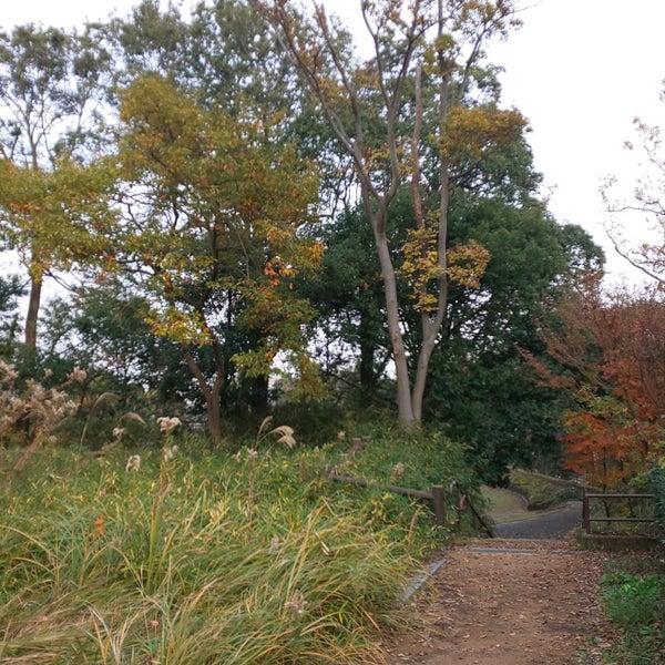 Photos At 洋光台北公園 Park In 磯子区
