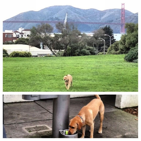 12/9/2012 tarihinde Jamie S.ziyaretçi tarafından Bow Wow Meow SF'de çekilen fotoğraf