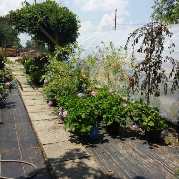 Christners farm 800 Scottdale Dawson Rd