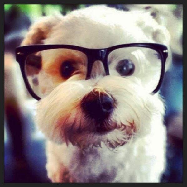 Photos at AMC Phipps Plaza 14 - North Buckhead - Atlanta, GA