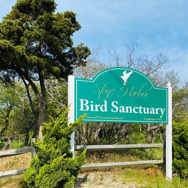Stone Harbor Bird Sanctuary Stone Harbor, NJ