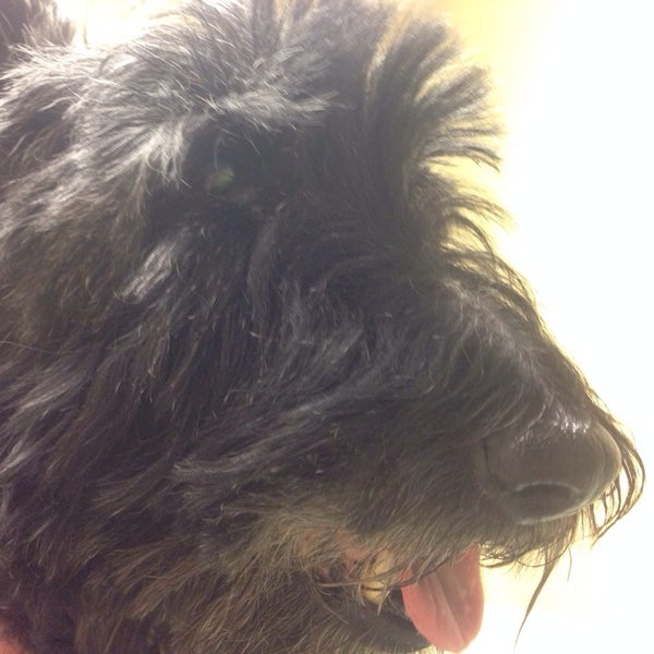 Vca valley hotsell oak veterinary center