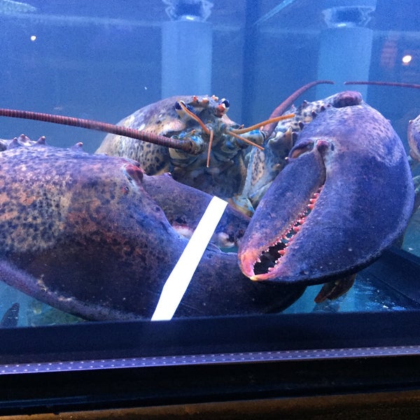 Das Foto wurde bei Burger &amp; Lobster von Yee Ting W. am 1/31/2015 aufgenommen