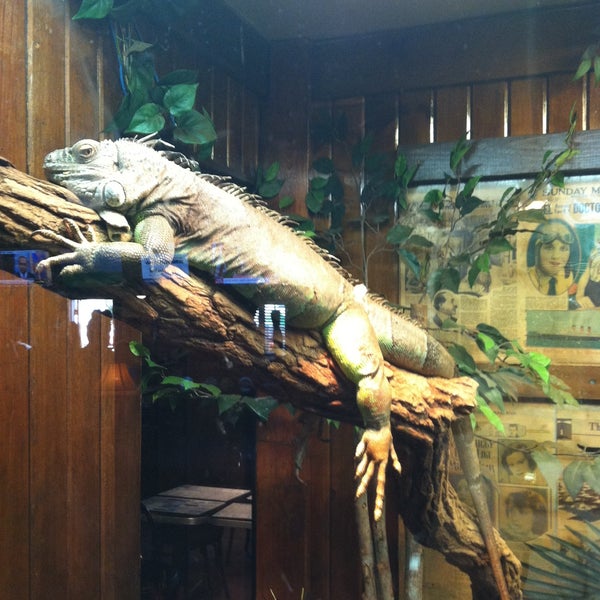 Photos at Winking Lizard Tavern - 1615 Main St