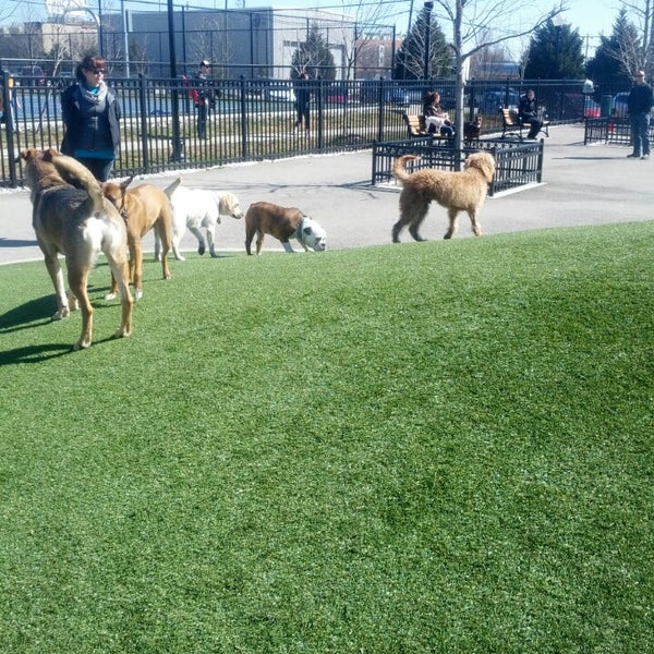 Locust Point Dog Park Dog Run in Baltimore