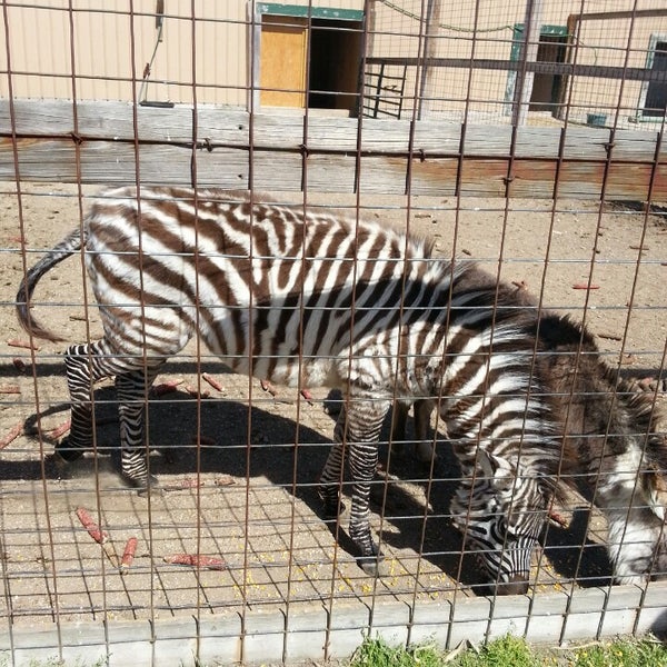 Wild Acres Ranch & Petting Zoo (Now Closed) 2 tips