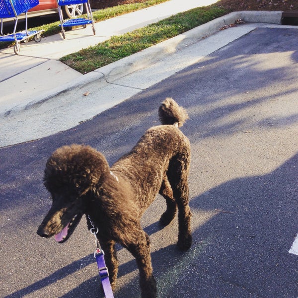 Photos at PetSmart Raleigh, NC