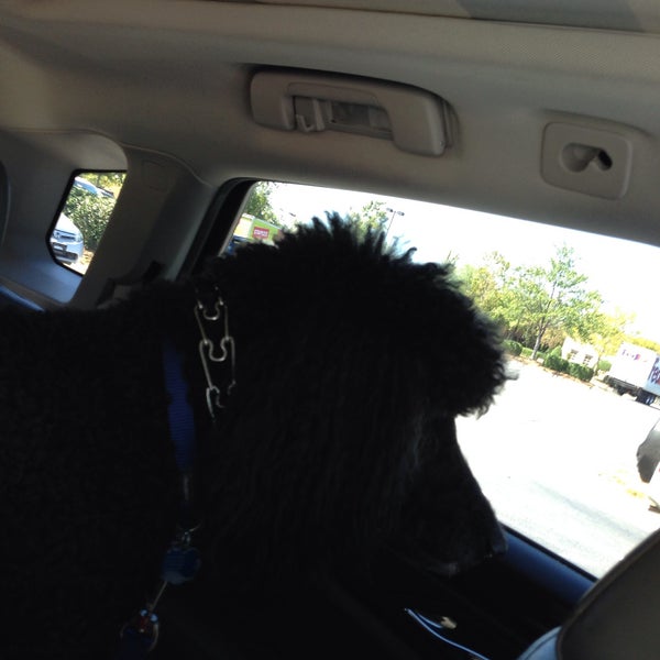 Photos at PetSmart Raleigh, NC