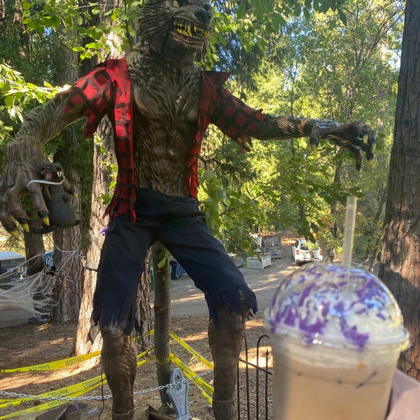 Grandpa's Cellar Farm in Camino