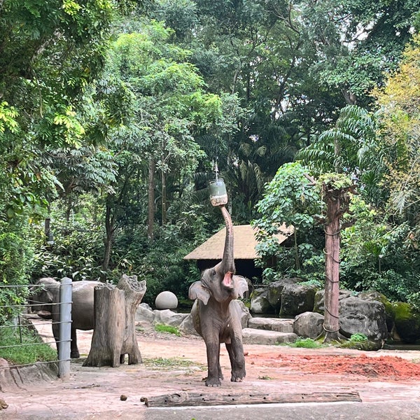 Photo taken at Singapore Zoo by tjun on 10/3/2023