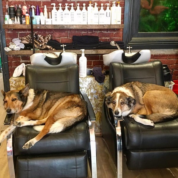 Cherry Bomb Hair Salon in Collingwood