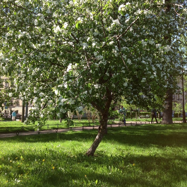 Александровский парк - Park in Санкт-Петербург