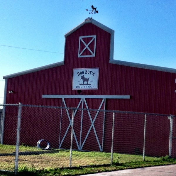 dogboy's dog ranch