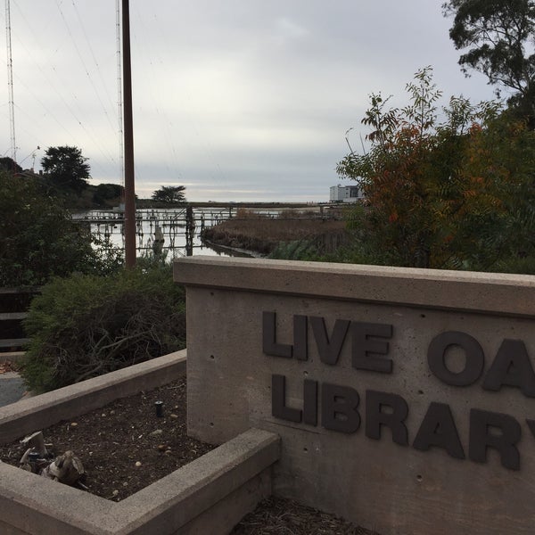 Live Oak Branch Library Library