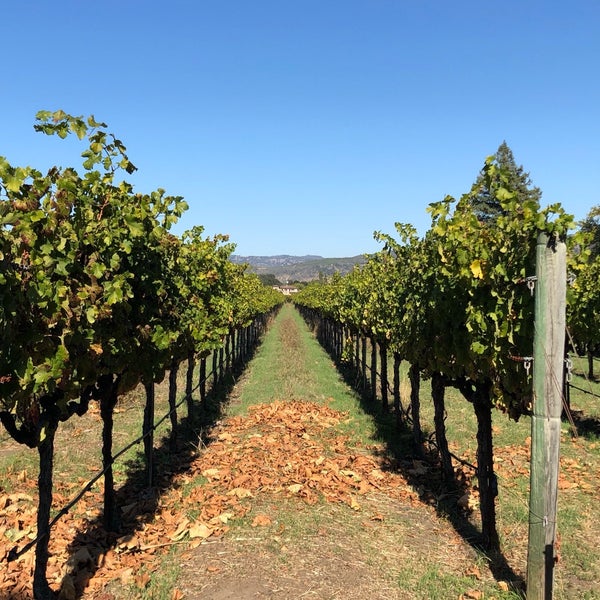Photo taken at Cakebread Cellars by Philip C. on 10/18/2018