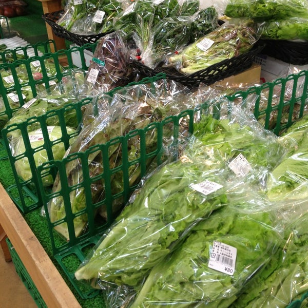 葉菜の森 和泉市 大阪府