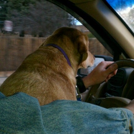petsmart gartrell