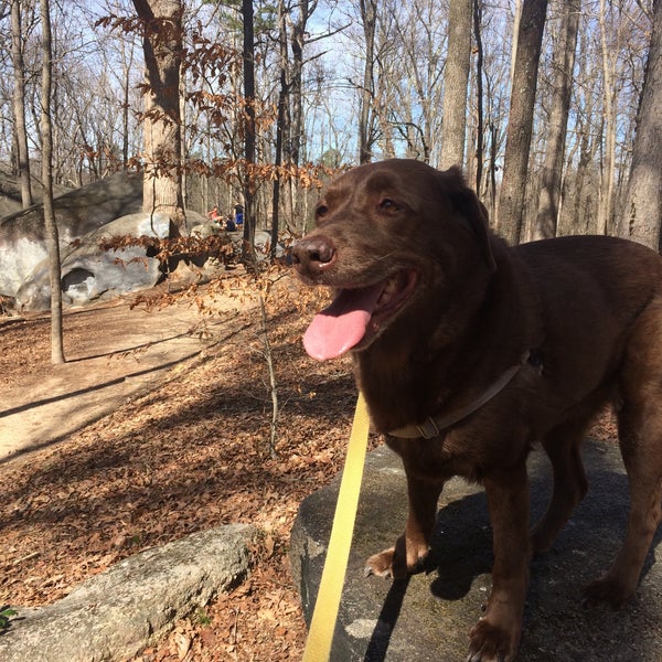 Big Rock Nature Preserve - Ballantyne East - Charlotte, NC