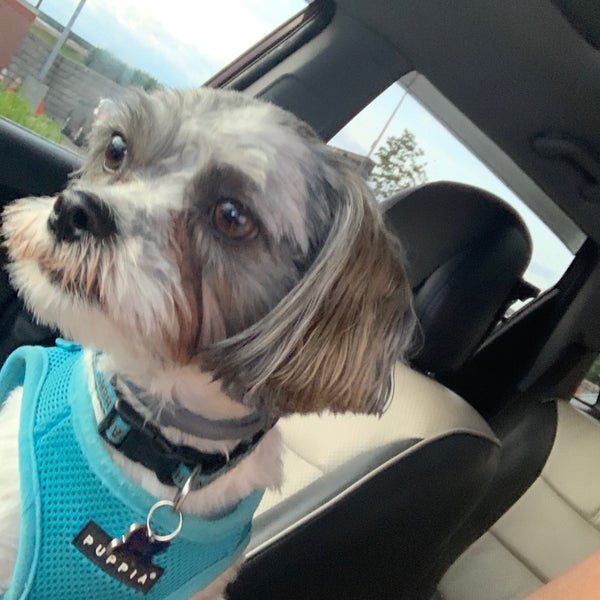 McDonald's Fast Food Restaurant in Shelbyville