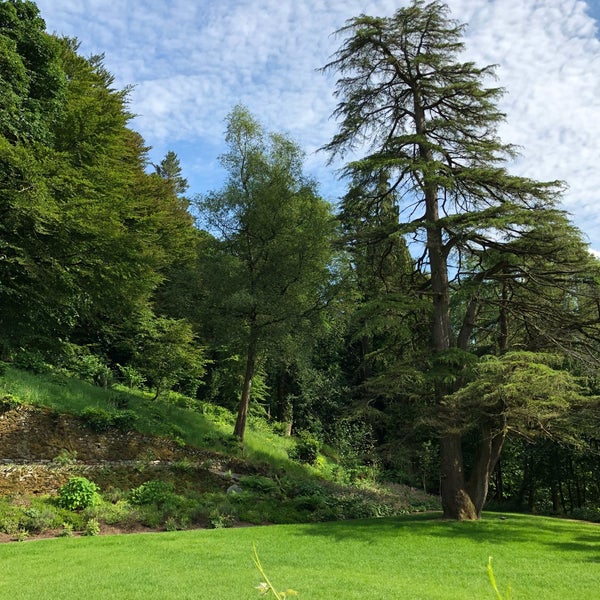 Forest side. Forest side