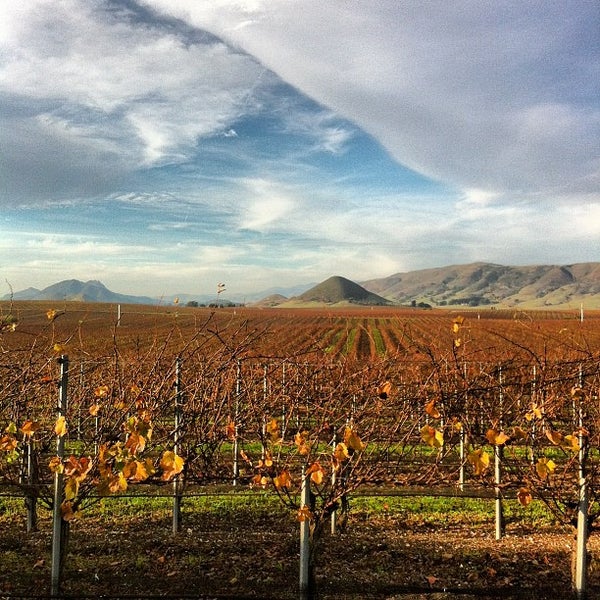 Edna Valley Vineyard 2585 Biddle Ranch Rd