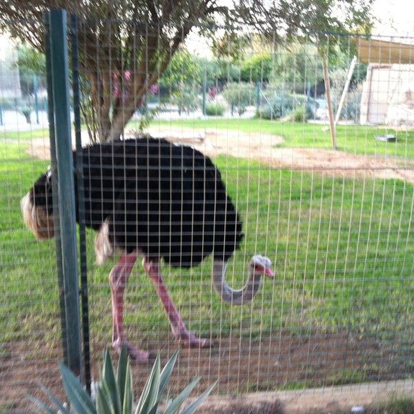 Photos at Al Ain Zoo & Aquarium Al Ain