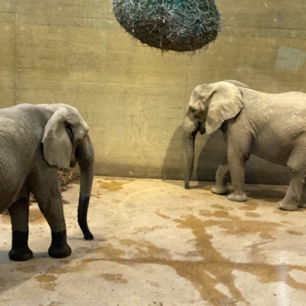 Photo taken at Zoo Basel by Sanem S. on 7/4/2021