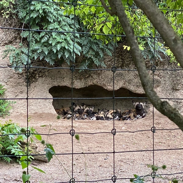 Das Foto wurde bei Zoo Basel von Sanem S. am 7/4/2021 aufgenommen