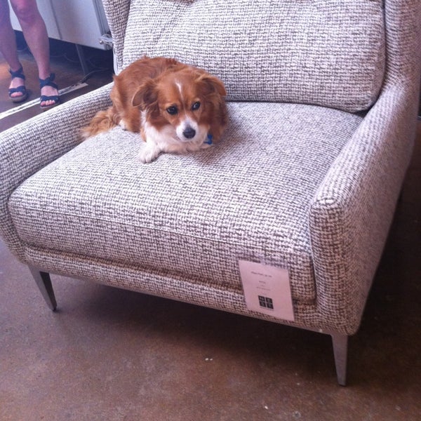 NEST Modern Furniture and Home Store in Old West Austin