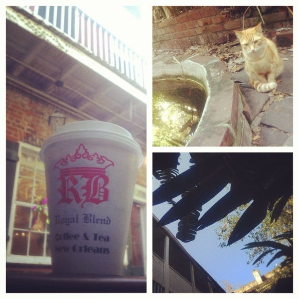 1/20/2013 tarihinde Adam C.ziyaretçi tarafından Royal Blend Coffee &amp; Tea House'de çekilen fotoğraf
