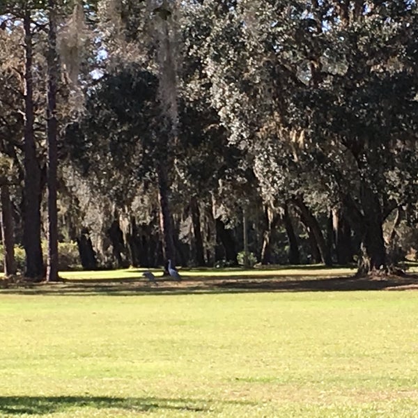 Live Oak Golf Course Crescent City, FL